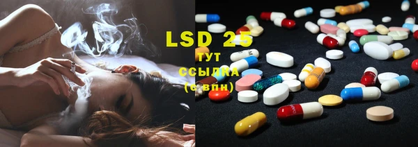 ECSTASY Армянск