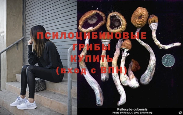 мескалин Арсеньев