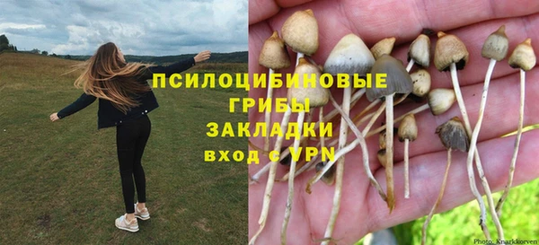 ECSTASY Армянск